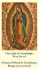 BILINGUAL - Our Lady of G